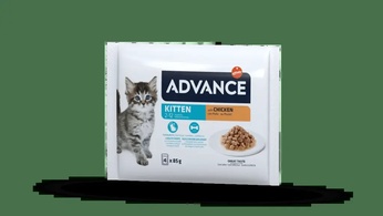Advance Cat Wet Kitten Chicken Multipack