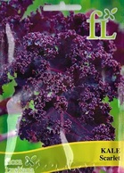 Kale Scarlet - 3gr