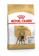 Royal Canin Cão BHN French Bulldog