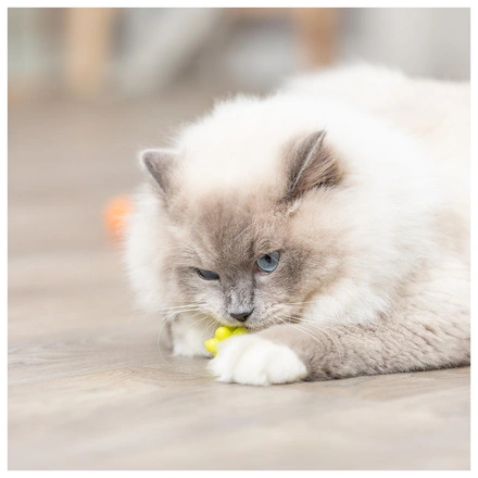 Satélites Em Plástico Para Gatos (4 Unidades)
