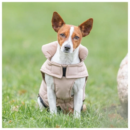 Capa "Lesmont" Para Cães - Blush