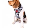 Snoopy - Colete Peitoral "Mesh" (Branco/C.B.)