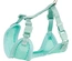 Junior - Soft Peitoral Com Trela Para Cachorro - Menta