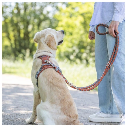 Peitoral "Premium Active" - Ferrugem