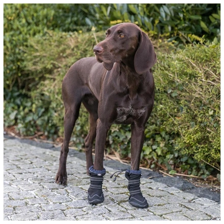 Bota Protetora "Walker Active Long" Para Cães