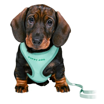 Junior - Soft Peitoral Com Trela Para Cachorro - Menta