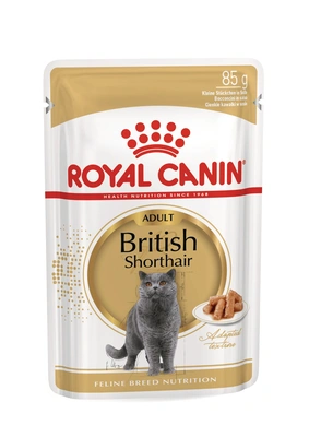 Royal Canin Gato British Shorthair 12*0,085kg