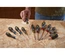 Conjunto de Chaves de Fenda FATMAX com 12 Peças Fenda/pozidrive/ Phillips STANLEY FMHT65426-0