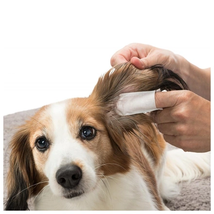 Dedeiras Para Limpeza De Orelhas (50 Unidades)