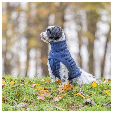 Camisola "Norwood" Para Cães - Azul