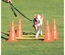 Conjunto De Obstáculos Para Agility