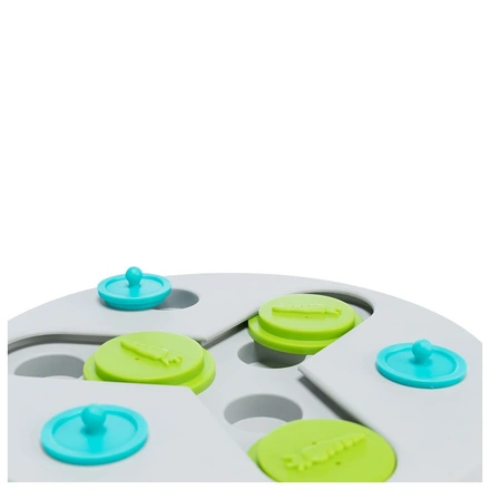 Jogo "Slide & Fun Board" Para Roedores