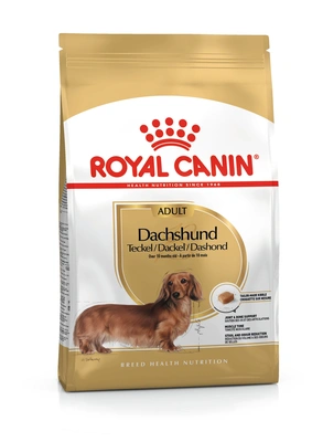 Royal Canin Cão BHN Dachshund