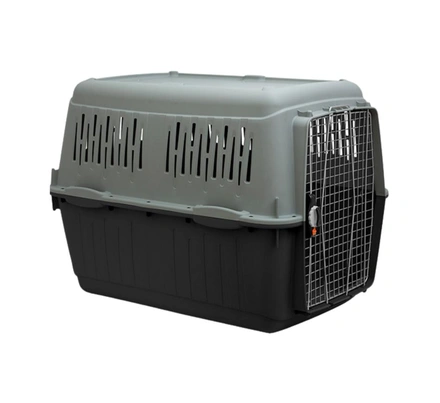 Transportadora Bracco Sprint Eco