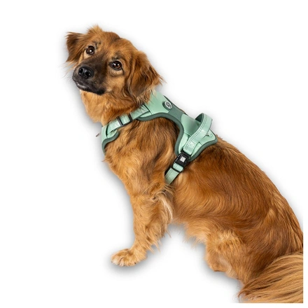 Max & Molly - Peitoral Sport "Matrix 2.0" - Sálvia