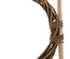 Conjunto Para Agility Para Roedores