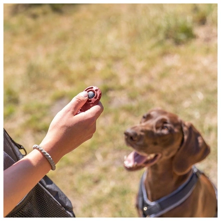 Clicker "Sporting" (Para Treino De Cães)