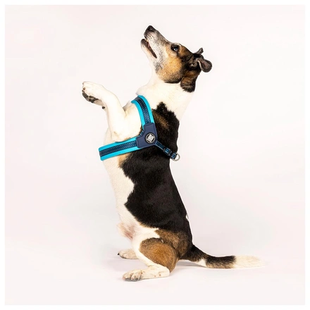 Max & Molly - Peitoral Q-Fit "Matrix Sky Blue" - Azul