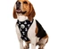Snoopy - Colete Peitoral "Mesh" (Negativo/C.B.)