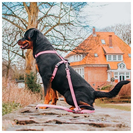 Max & Molly - Peitoral "Retro Pink"
