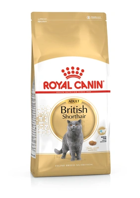 Royal Canin Gato FBN British Shorthair