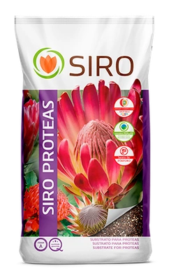 Siro Proteas - 20Lts