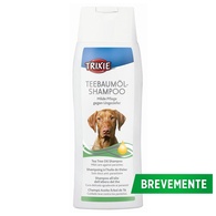 Champô Com Óleo De Árvore De Tília