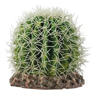 Decoração Para Terrário "Cactus Sonora"