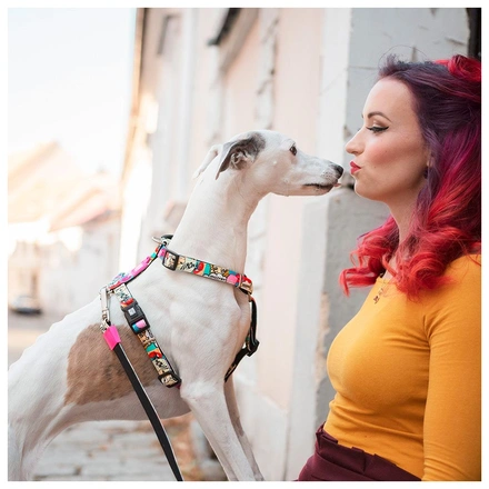 Max & Molly - Peitoral "Missy Pop"
