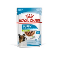 Royal Canin Cão SHN XSMALL PUPPY CIG 12X85G