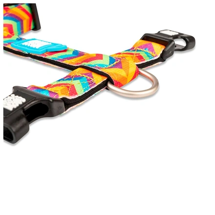 Max & Molly - Peitoral "Summertime"