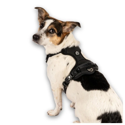 Max & Molly - Peitoral Sport "Matrix 2.0" - Preto