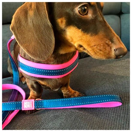 Max & Molly - Trela Multi "Matrix Pink" - Rosa