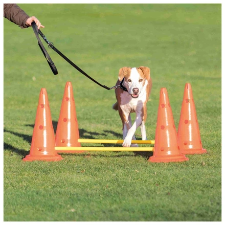 Conjunto De Obstáculos Para Agility