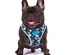 Snoopy - Colete Peitoral "Mesh" (Azul/Xadrez)