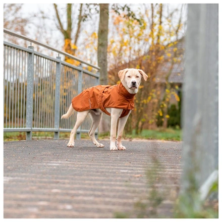 Capa "Citystyle Dublin" Para Cães - Ferrugem