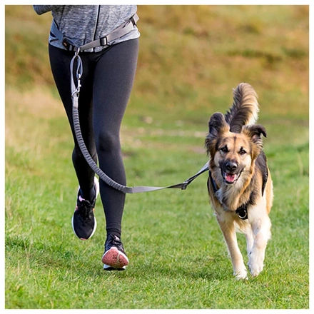 Trela "Mãos Livres"