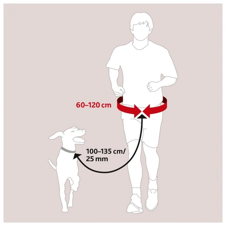 Trela "Mãos Livres" E Cinto Em Nylon