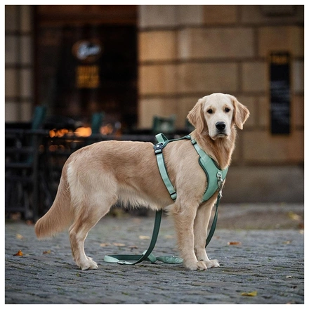 Max & Molly - Peitoral Sport "Matrix 2.0" - Sálvia