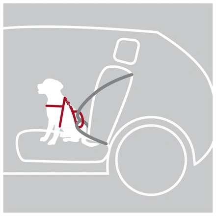 Peitoral De Segurança "Dog Protect"