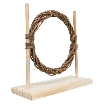 Conjunto Para Agility Para Roedores