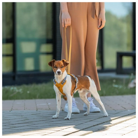 Peitoral "Premium Active" - Caril