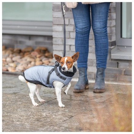 Capa "Pontis" Com Peitoral Para Cães - Cinza