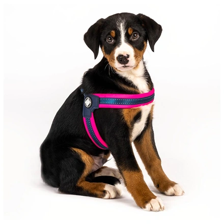 Max & Molly - Peitoral Q-Fit "Matrix Pink" - Rosa