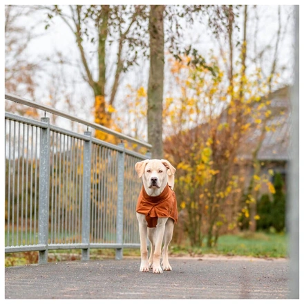 Capa "Citystyle Dublin" Para Cães - Ferrugem