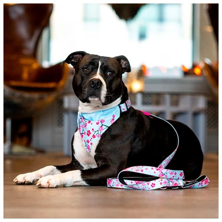 Max & Molly - Trela Multi "Cherry Bloom"