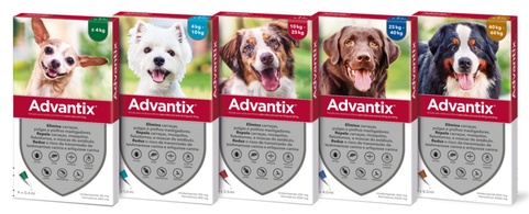 Advantix Pipetas Antiparasitária