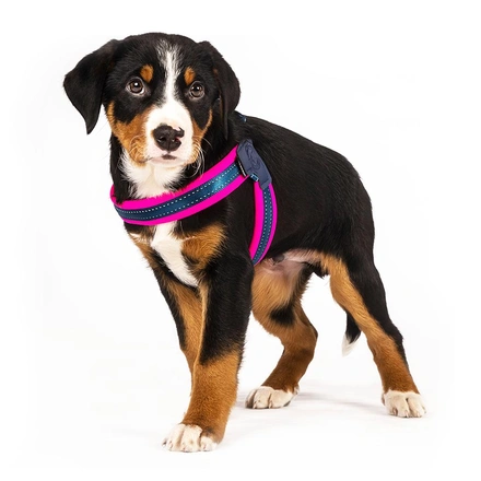 Max & Molly - Peitoral Q-Fit "Matrix Pink" - Rosa