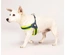 Max & Molly - Peitoral Q-Fit "Matrix Yellow" - Amarelo