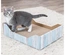 Cama De Arranhar Em Cartão Com Catnip